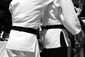 Ethics in karate